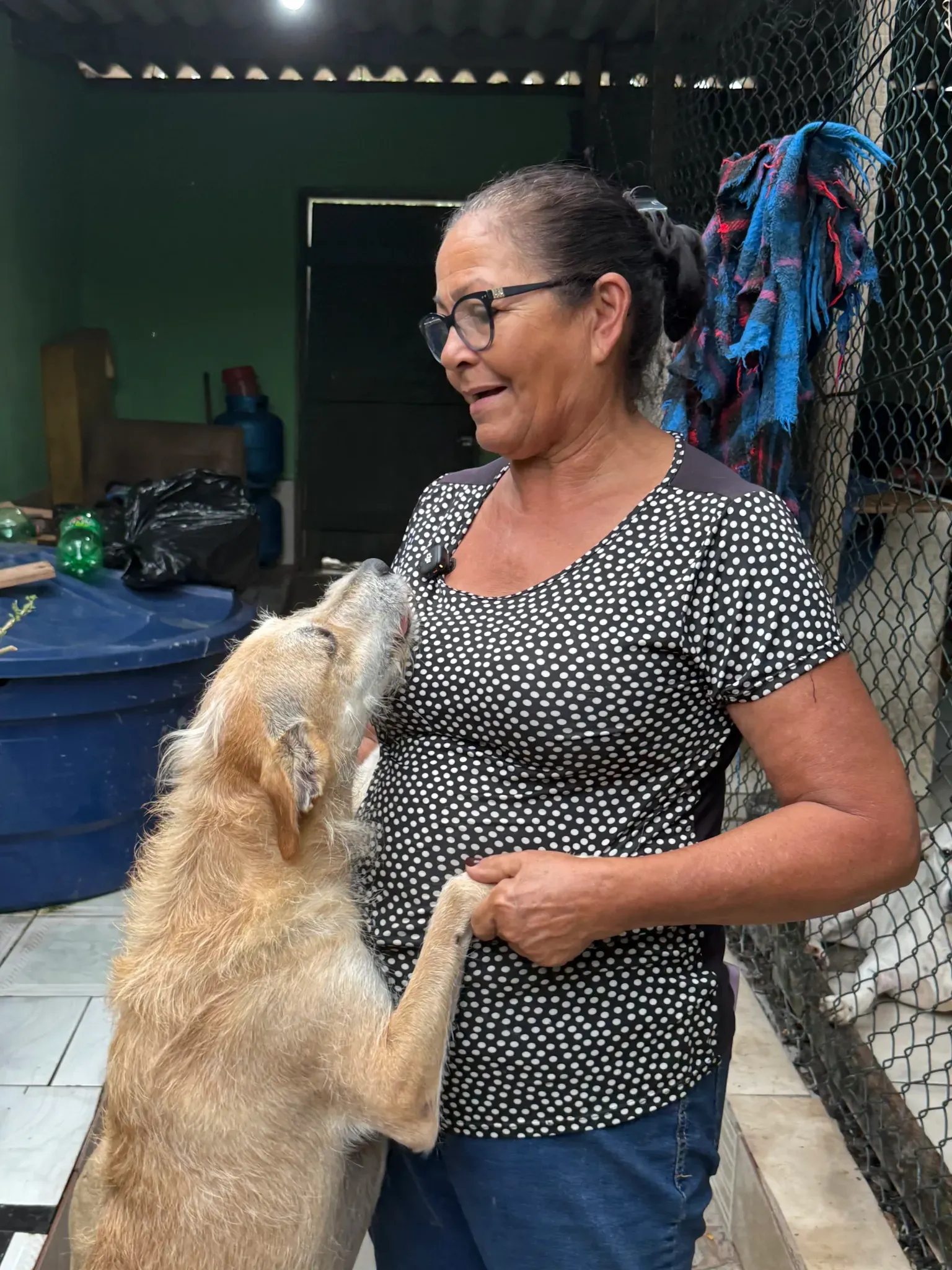 Cachorra abraçada pela voluntária